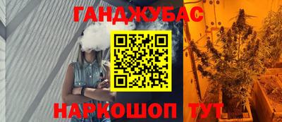 гашик Будённовск